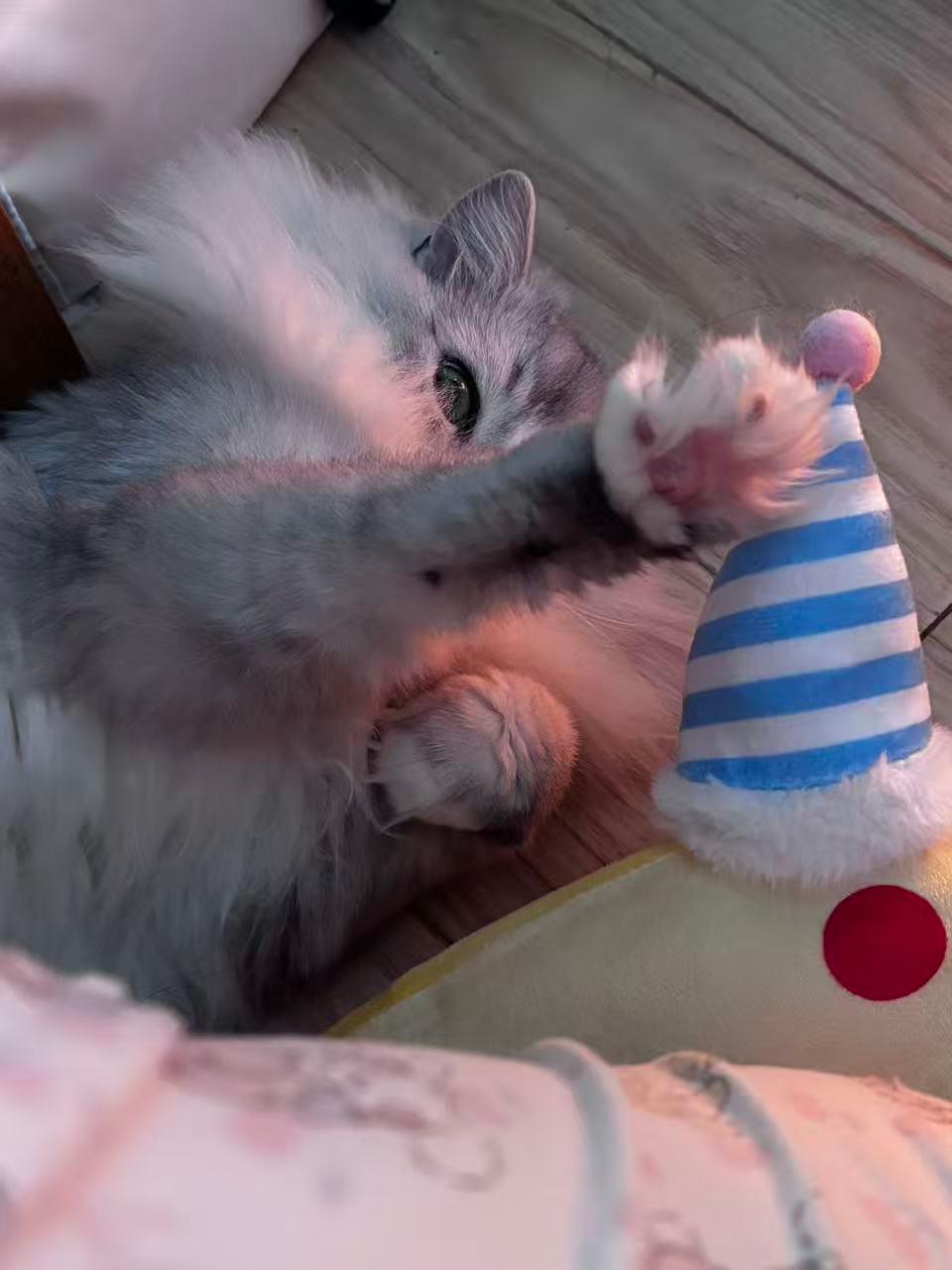 创业与经营 杨世雷